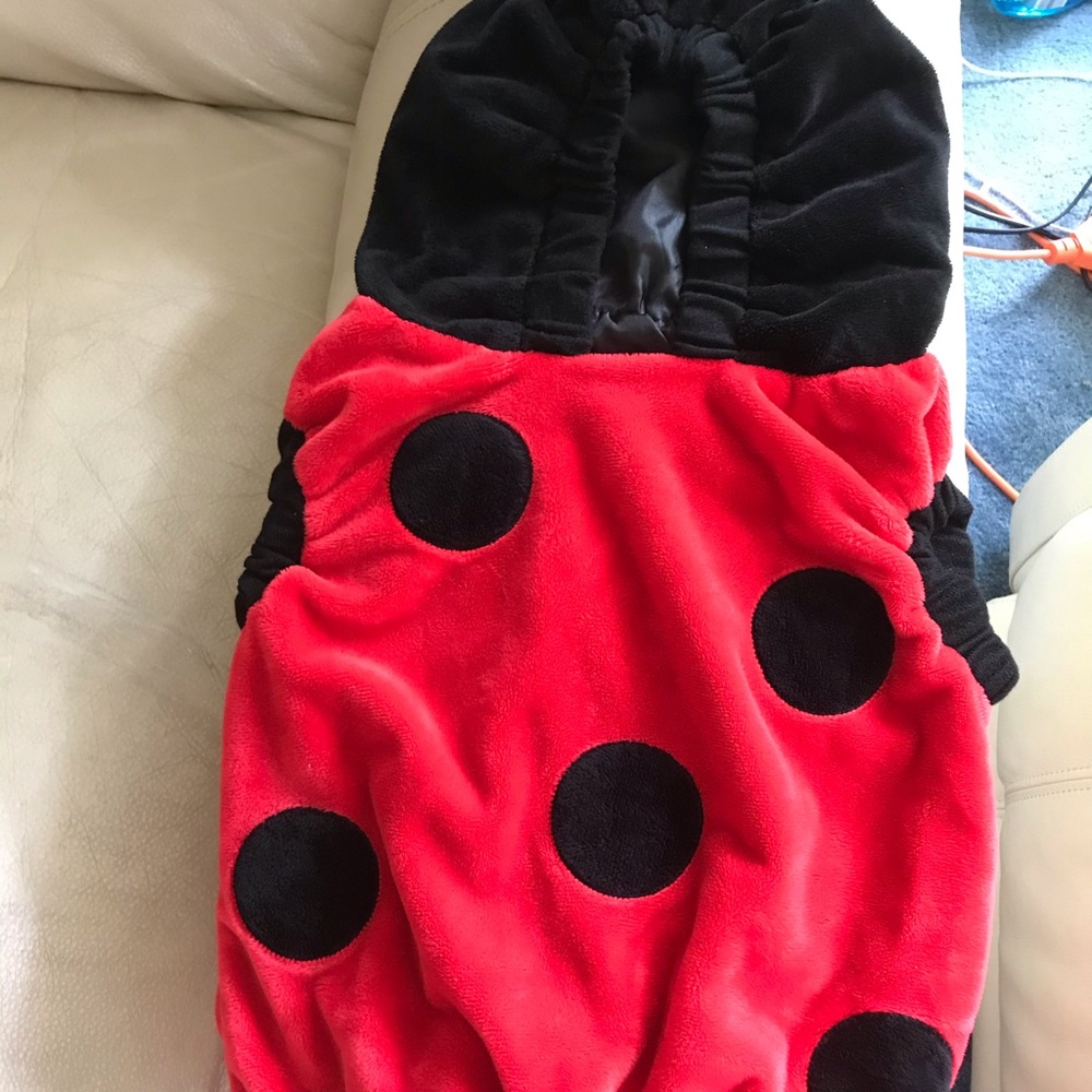 Ladybug Halloween costume for baby girl.